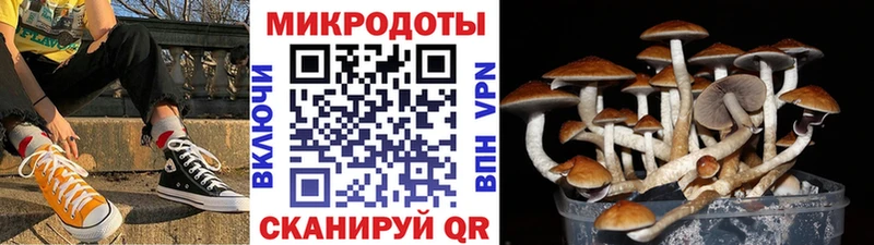 Псилоцибиновые грибы Psilocybine cubensis  магазин  наркотиков  darknet официальный сайт  Фрязино 
